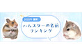 【2025年最新】ハムスターの名前ランキングを発表!