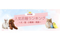SBIプリズム少短【2026年度最新】　　　　　　　　　　　　　　犬・猫・小動物・鳥類 人気ランキング