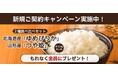 【SBIリスタ少短】新規ご契約キャンペーン「人気銘柄米2種食べ比べセット」を新規ご契約者様にプレゼント
