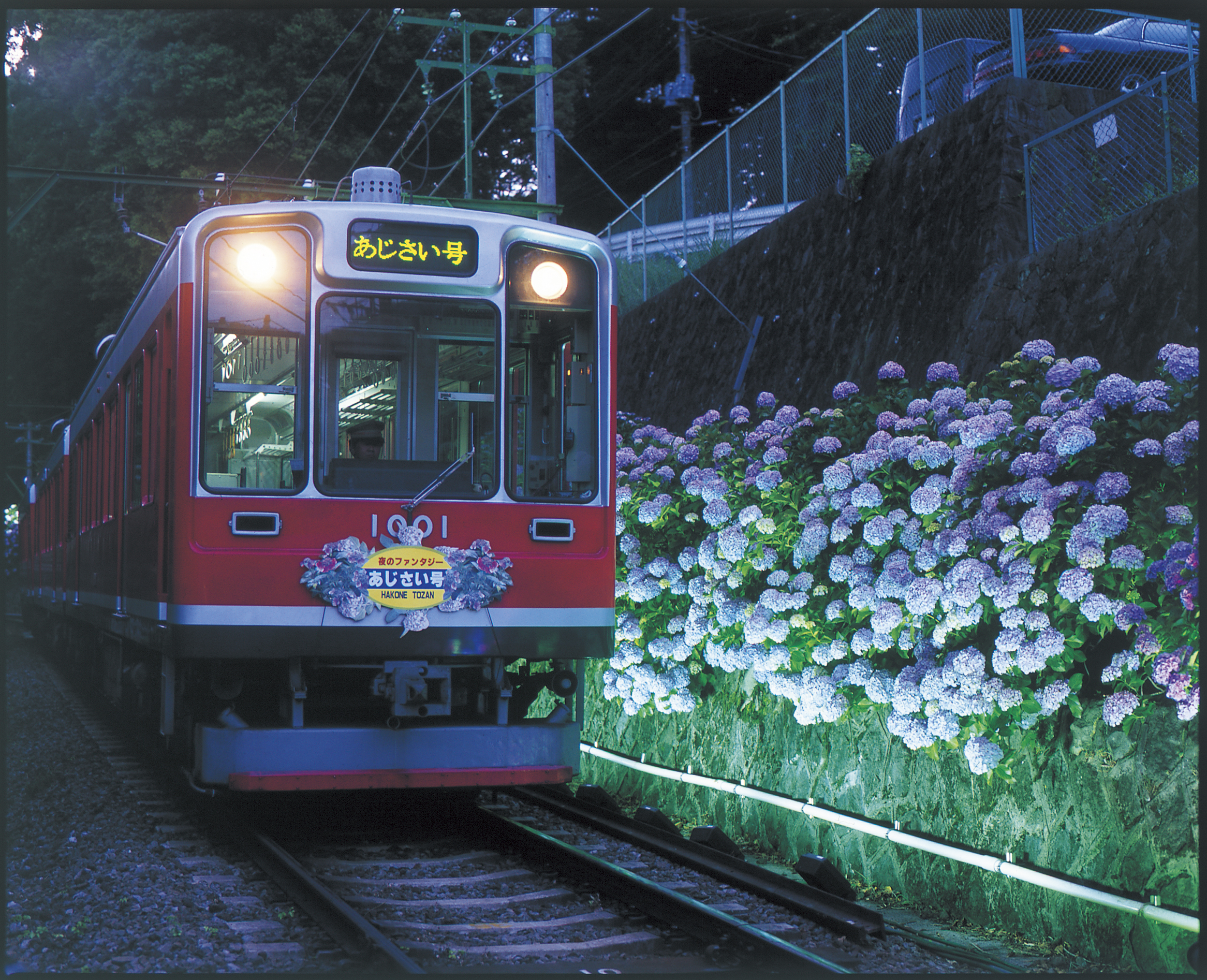 初夏の箱根の風物詩 箱根あじさい電車 夜間ライトアップ を実施いたします 小田急箱根ホールディングス株式会社のプレスリリース