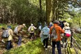県立恩賜箱根公園 11月15日(土)に「箱根離宮自然満喫ツアー」を開催します!