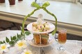 【箱根強羅公園】サンドイッチ料理のお店「一色堂茶廊」で夏にぴったりの限定スイーツを販売いたします