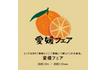 【枚方T-SITE】愛媛から食と暮らしの逸品が集まる「愛媛フェア」を1/3(金)より開催