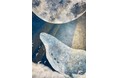 【奈良 蔦屋書店】青い夜の世界と不思議な生き物たちを描く、夜依ル氏の個展『青い夜の欠片を探して』開催