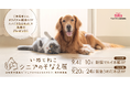 ＜いぬとねこ シニアのそなえプロジェクト＞愛犬・愛猫の認知症や関節症など、シニア期へのそなえを学ぶ「いぬとねこ シニアのそなえ展」 を東京・大阪 にて開催