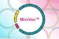 VectorBuilderとMaxCyte®が戦略的パートナーシップを締結