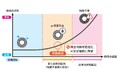 コスモエコパワーと日本精工、風力発電設備向け軸受の潤滑状態を監視する技術を実機環境で実証