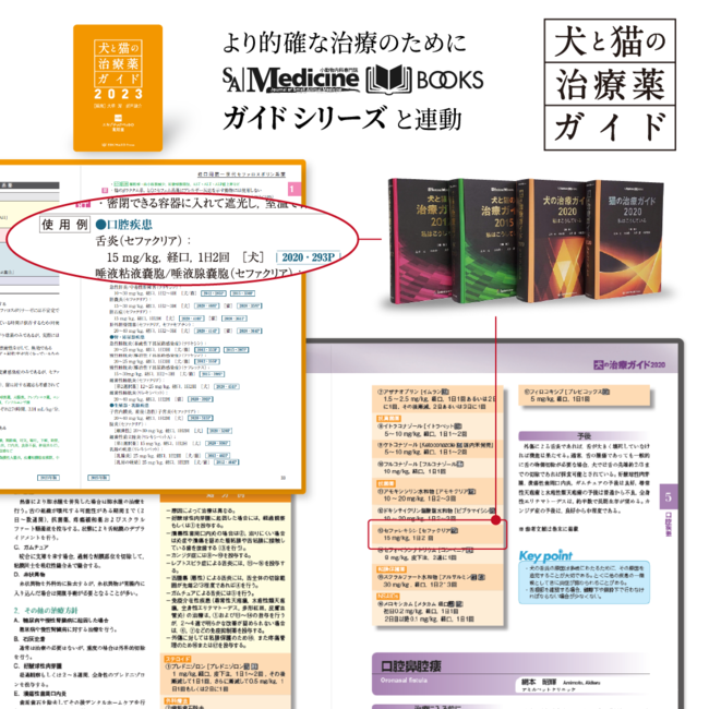 小動物の臨床現場における薬剤情報と解説書の決定版「犬と猫の治療薬