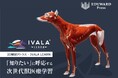 EDUWARD PressとVINグループ、高精度3D解剖アトラス「IVALA LEARN」を日本国内で展開