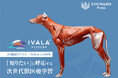 3D解剖アトラス「IVALA LEARN」、全国の獣医療系学生を対象に無料提供開始