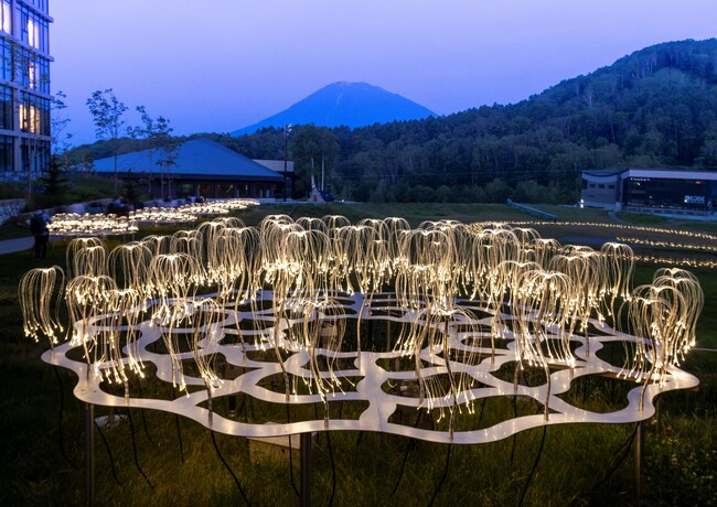 Future Light (C) Bruce Munro Studio