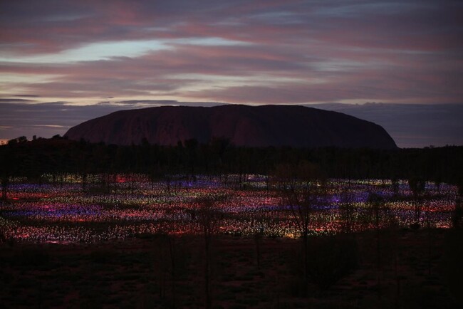 オーストラリア、ウルル(エアーズロック)で開催されている「Field of Light」(C) Bruce Munro Studio