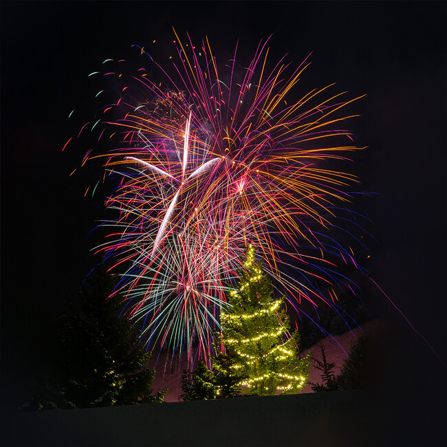 クリスマスツリーと花火の競演（イメージ）