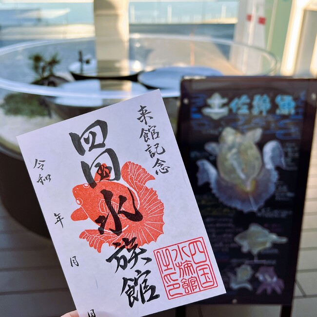 飼育スタッフが描いた黒板解説の絵を元に作製 飼育スタッフが描いた黒板解説の絵を元に作製