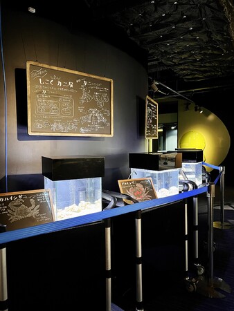 四国ミニカニ展 四国ミニカニ展