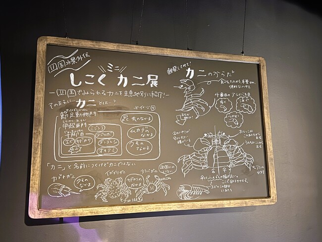 おなじみ飼育スタッフ手描きの黒板解説 おなじみ飼育スタッフ手描きの黒板解説