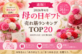 【速報！母の日売れ筋ランキング】2026年4月・母の日ギフト売れ筋ランキングTOP20を発表！消えもの志向・食品・スイーツが席巻。早割商戦の勝者は？【2026年4月1日～30日・集計速報】