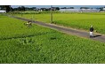 NTT東日本が「映文連アワード2024」においてコーポレート・コミュニケーション部門優秀賞を受賞しました