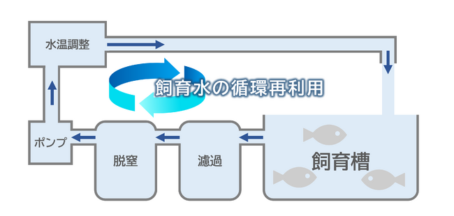 （図１）閉鎖循環式陸上養殖イメージ