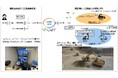 NTTグループと大成建設、IOWN APNとローカル5Gおよび60GHz帯無線LANを活用して複数重機を遠隔操作・自動制御する実証に成功