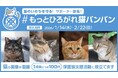 11年目の「のるまえに #猫バンバン」は猫のSNS投稿で地域の猫の支援を応援する新アクションを始動　「#もっとひろがれ猫バンバン」1月14日（水）より投稿募集スタート