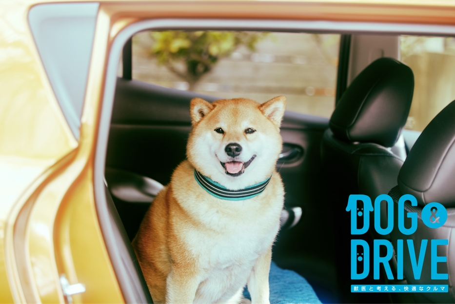 あの柴犬 まるたろう も出演 日産 Dog Drive ムービーを公開 日産自動車株式会社 日本マーケティング本部のプレスリリース