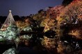 ~熊本ゆかりの地で幻想的な紅葉やイベントを期間限定で楽しめる~「秋の紅葉ライトアップ-ひごあかり-」|「漱石山房記念館」で竹あかり展示