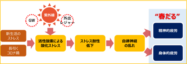 精神的・身体的疲労をもたらす酸化ストレス 精神的・身体的疲労をもたらす酸化ストレス