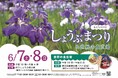 【東京都足立区】都内有数のハナショウブと多国籍グルメイベントを楽しもう!6/7(土)、8(日)「しょうぶまつり&世界の食広場」開催