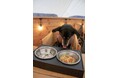 最高のリトリートを体験できる THE FIVE RIVERS FINE GLAMPING 群馬 白沢 ペットフーディスト監修 愛犬の為の ”特製愛犬ディナー” 2024秋ver 販売開始