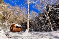 最高のリトリートを体験できる THE FIVE RIVERS FINE GLAMPING 群馬 白沢　白銀の世界で雪中サウナ　寒暖差100℃超え”雪でととのう”冬体験