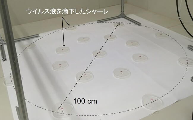 図3 深紫外LEDハンディ照射機を用いたウイルス不活性化試験の実験配置図 (b) 照射範囲Φ100 cmの場合のウイルス配置の写真