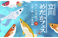 全国各地からめだか屋さんが集結する毎年好評のめだかイベント「立川めだかフェス」開催