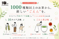 1000種類超のお茶から、“まだ知らない一杯”に出会う。京都・ごえん茶が「16タイプ診断」「ごえん茶診断」を公開