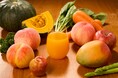 ～季節に合った果実の味わいでご家族の健康をサポート～　季節限定「野菜生活100 まろやか3種のももミックス」新発売