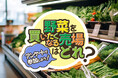 「買いたくなる青果売場」の条件が明らかに82％が「安心品質」、67％が「情報」を重視「安心品質×情報」の両立が支持される売場のポイントに