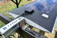 国内初、営農型ペロブスカイト太陽電池の共同実証実験開始