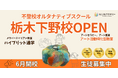 【栃木県下野市】アート×不登校　アートセラピー講師が運営するNIJINアカデミー栃木下野校が6月23日開校