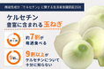 ケルセチンが豊富に含まれる玉ねぎ。約7割が毎週食べる一方で、9割以上がケルセチンを十分に知らない