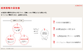 【株式会社ASNOVA】2025年3⽉期第2四半期 決算発表(証券コード:9223)