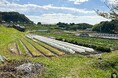 大和大学 社会学部のSDG研究推進室に、株式会社クラダシによる研究活動支援が決定!