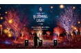 ぐんま三大梅林・秋間梅林で『BLOOMING LIGHT』開催!幻想的な梅林のライトアップとGPS連動ストーリーテリングが生み出す新感覚ナイトウォーク