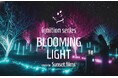今年もぐんま三大梅林・秋間梅林で『BLOOMING LIGHT®』開催！幻想的な梅林のライトアップと独自開発ランタンが生み出す新感覚ナイトウォーク