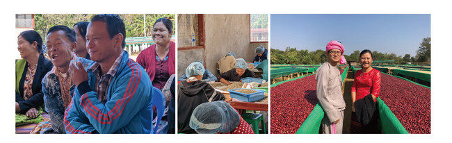 左からユワンガンのコーヒー農家のみなさん、Amayar Women’s Coffee Groupで働く女性たち、生産者代表のSu Su Aungさん（右）と日本への輸出と卸売を担当する親戚のLin Myat Kyawさん（左）。