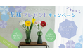 雨の日にも、花を。 +hana「めぐる花、めぐる暮らし。」今だけ花瓶プレゼント キャンペーン