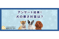 【調査結果】犬が寒いと感じるサインは？飼い主200人に聞いた冬の寒さ対策！