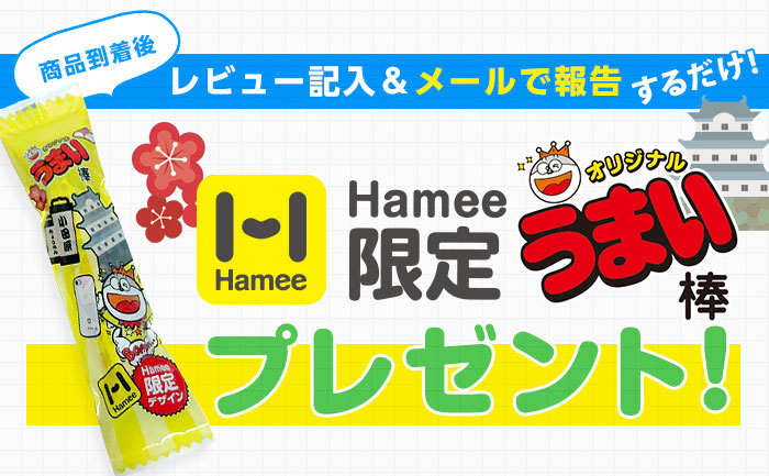 Hameeでしか手に入らない オリジナル うまい棒 マル秘セット プレゼントキャンペーン開催 Hameeのプレスリリース