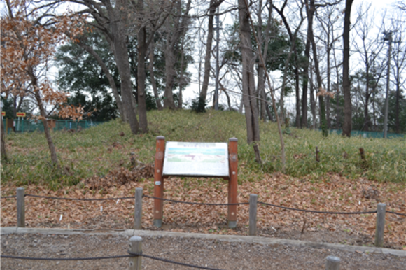 対岸の川越市蓮光寺と共に家康が鷹狩りに訪れたとの伝説が残る市内権現山古墳群2号墳