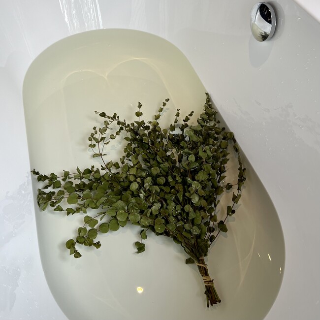 ヴィヒタ ヴィヒタ