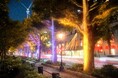 横浜の夜景とイルミネーションを舞台としたARフォトラリーを制作・提供